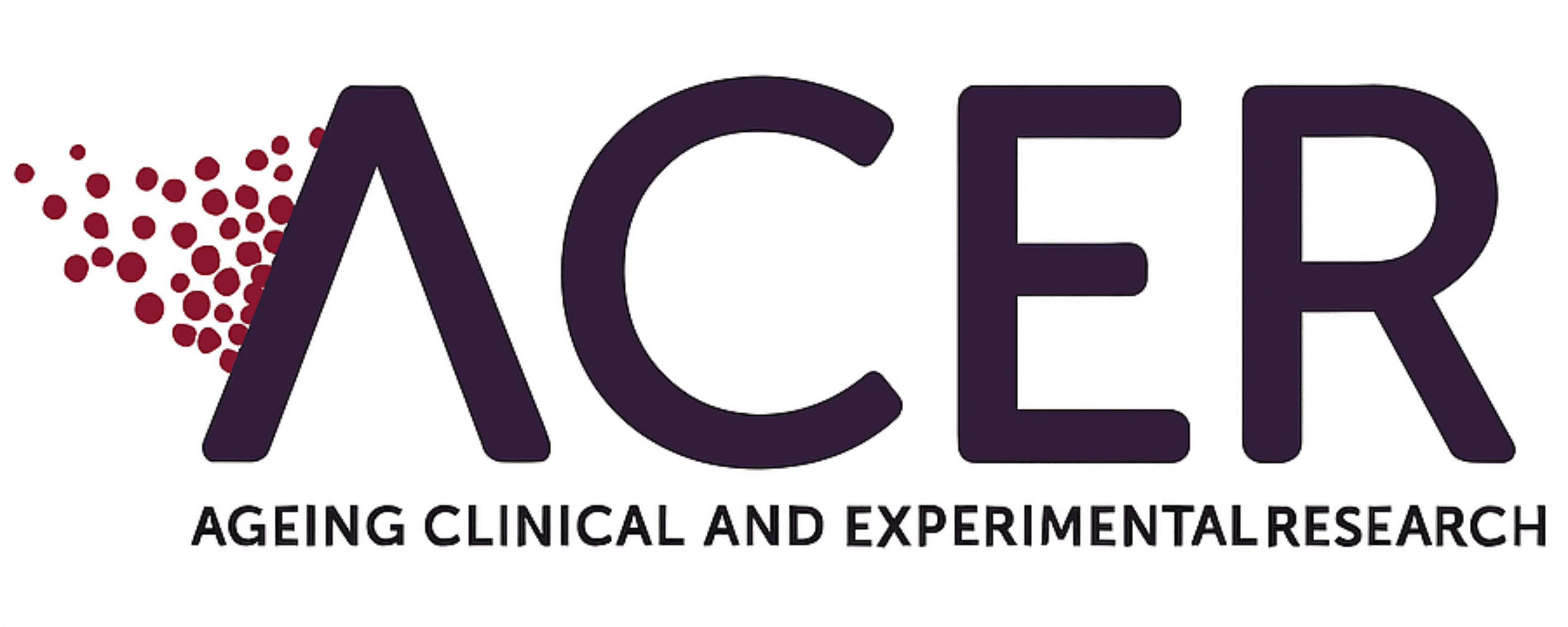 ACER Research Team logo